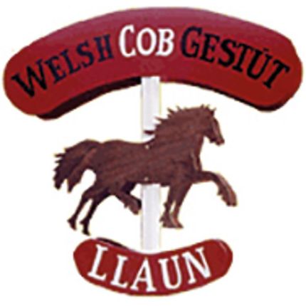 Logo von Welsh Cob Gestüt Llaun - Reiterhof