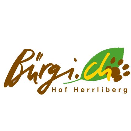 Logo de Bürgi.ch AG