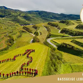 Bild von WINZERGENOSSENSCHAFT OBERBERGEN IM KAISERSTUHL EG