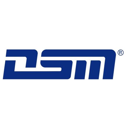 Logo van DSM Messtechnik GmbH