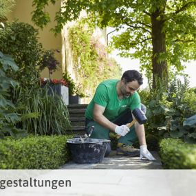 Bild von Alabor Gartenbau AG
