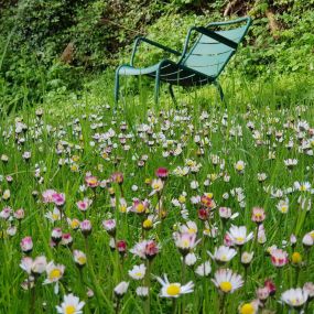 Teichbeleuchtung Pflege Garten Winterthur