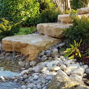 Teichbeleuchtung Pflege Garten Winterthur