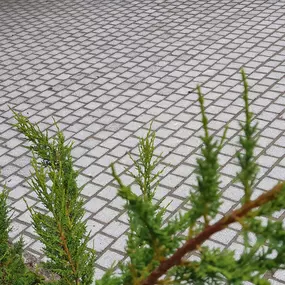Teichbeleuchtung Pflege Garten Winterthur
