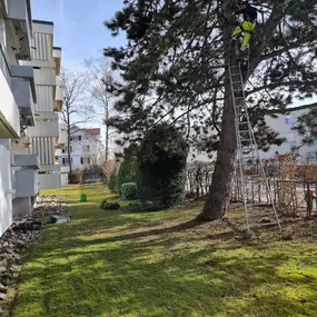 Gartenbau Zürich Gartenpflege