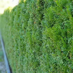 Gartenbau Winterhtur