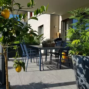 Rasen Pflanzen Gartenbau Winterthur