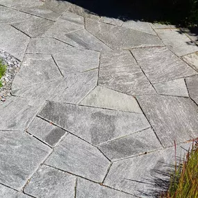 Rasen Pflanzen Gartenbau Winterthur