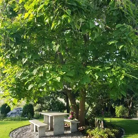 Rasen Pflanzen Gartenbau Winterthur