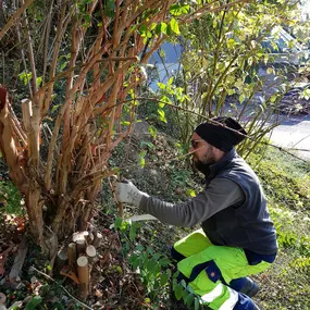 Zürich Winterthur Pflege Rasen Pfanzen