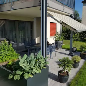 Zürich Winterthur Pflege Rasen Pfanzen