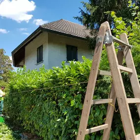 Zürich Winterthur Pflege Rasen Pfanzen
