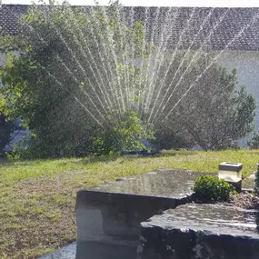 Zürich Winterthur Pflege Rasen Pfanzen
