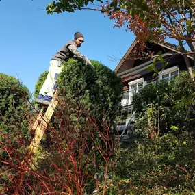 Zürich Winterthur Pflege Rasen Pfanzen