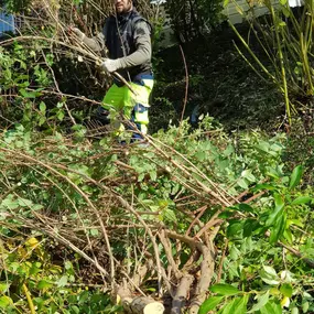 Zürich Winterthur Pflege Rasen Pfanzen