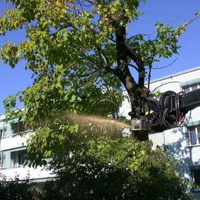 Zürich Winterthur Pflege Rasen Pfanzen