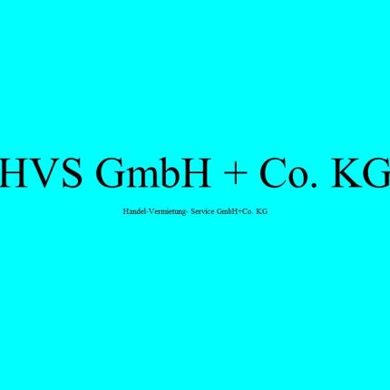 Logo od HVS GmbH Co. KG