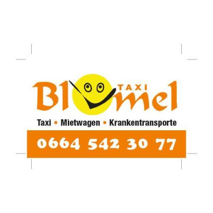 Logotyp från Blümel City-Taxi Mietwagen & Krankenbeförderung