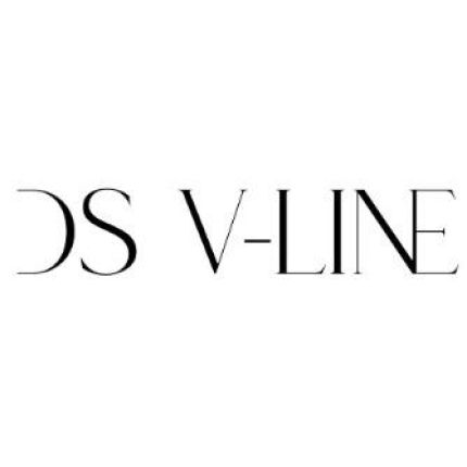 Logotyp från DS V-LINE Global