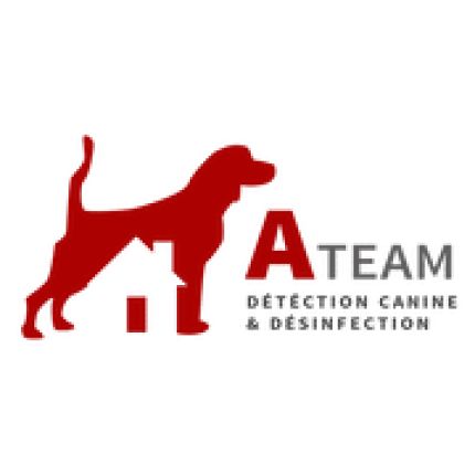 Logo van A-Team Désinfection