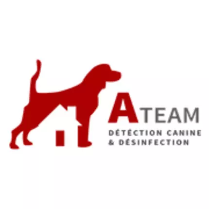 Logo de A-Team Désinfection