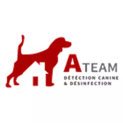 Logo fra A-Team Désinfection