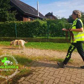 Bild von Hundeschule - In Balance with Dogs