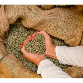Bild von Kaffee-Manufaktur 504