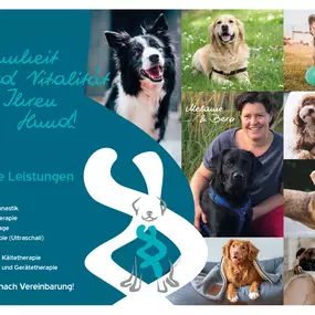 Bild von bellwegbar-Praxis für Hundephysiotherapie