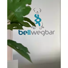 Bild von bellwegbar-Praxis für Hundephysiotherapie