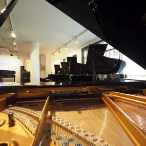 Blick auf den Hauseigenen Konzertsaal im C. Bechstein Centrum Tübingen. Hier finden Sie den passenden Flügel zum Kauf.