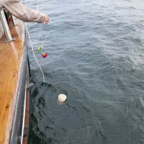 Bild von Abschied Bestattungen