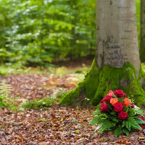 Bild von Abschied Bestattungen