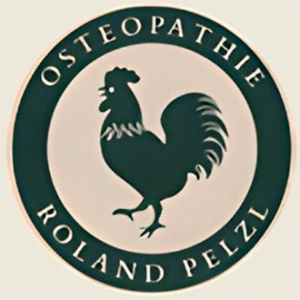 Logo from Osteopathie Pfaffenhofen - Praxis Pelzl
