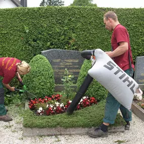 Bild von Blumen Am See Hegemann