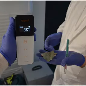 Sofortmaßnahmen bei Wasserschaden, Leckortung, Trockenmaßnahmen, Schadenminimierung, Schimmelbeseitigung