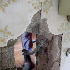 Bild von HomeFix24 Wasserschadenbeseitigung Leckortung