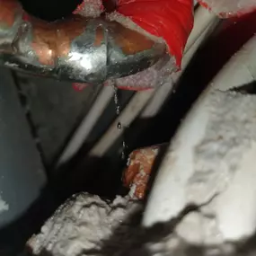 Bild von HomeFix24 Wasserschadenbeseitigung Leckortung