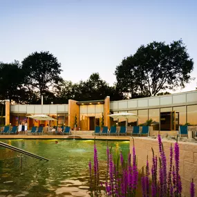 Panorama-Oase mit Fränkische Bier- und Genuss-Sauna am Badeteich der Therme Obernsees