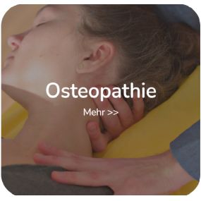 Bild von Osteopathie Bienen | Pfaffenhofen