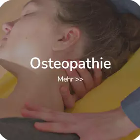 Bild von Osteopathie Bienen | Osteopathie Pfaffenhofen