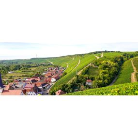 Bild von Weingut Am Lump - Albrecht Sauer