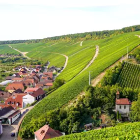 Bild von Weingut Am Lump - Albrecht Sauer