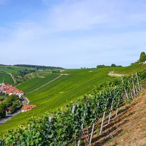 Bild von Weingut Am Lump - Albrecht Sauer