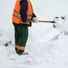 Bild von BSE Berolina Schnee- & Eisbeseitigung