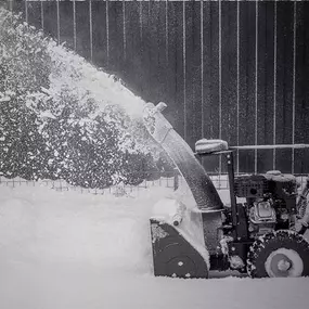 Bild von BSE Berolina Schnee- & Eisbeseitigung