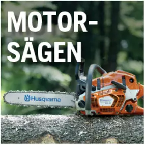Bild von WT-Thiedemann GmbH, Gartengeräte, Forst- & Motorgeräteservice (Gartengeräteprofis)