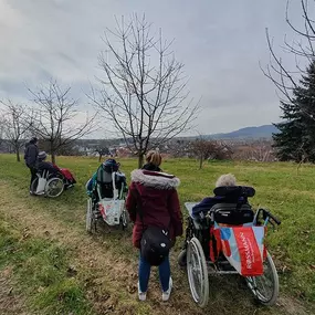 Ausflug ins Grüne in Freiburg