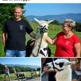 Chef und  Chefin