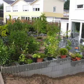 Bild von Garten und mehr - Jan Langhanki